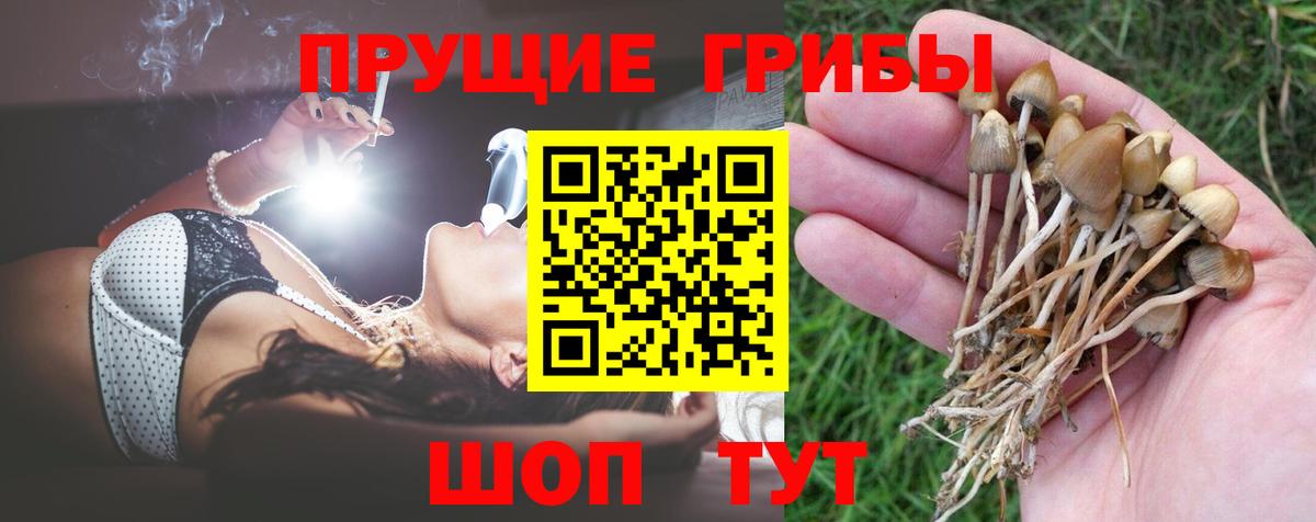 Псилоцибиновые грибы Psilocybe  Вход с VPN  Нефтеюганск 